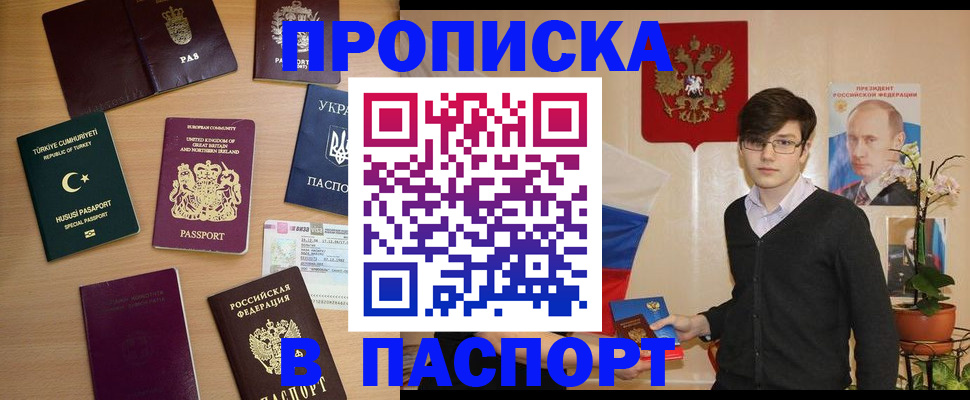 прописка 2025 в Могочи